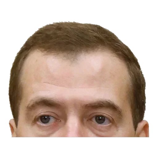 Russian Politics — 3