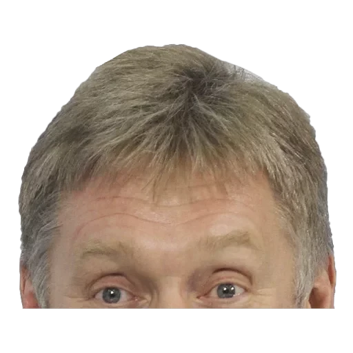 Russian Politics — 5