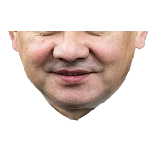 Russian Politics — 46