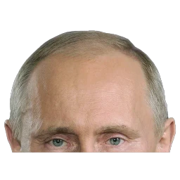 Russian Politics