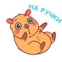 Иппи 👉 @ok_sticker_bot — 20