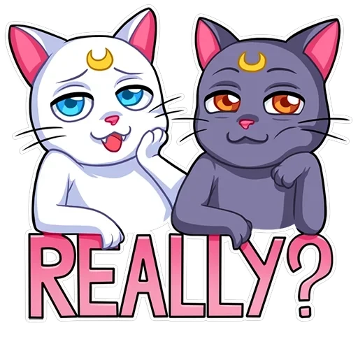 Sailor Moon — 8