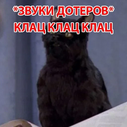 Salem — 2