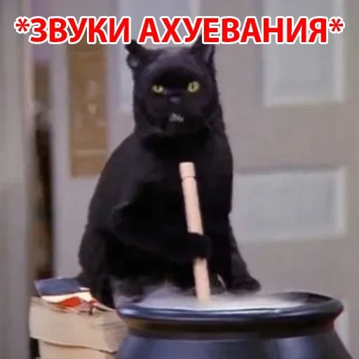 Salem — 11
