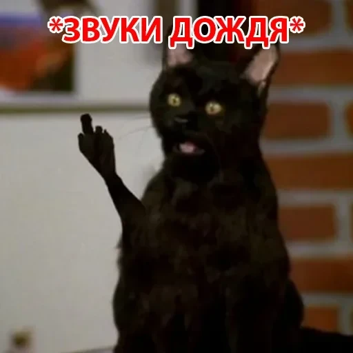 Salem — 13