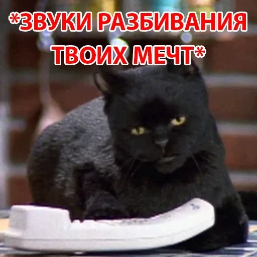 Salem — 15