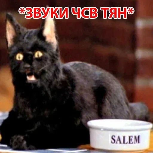 Salem — 17