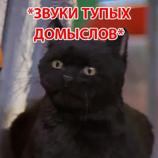 Salem — 18