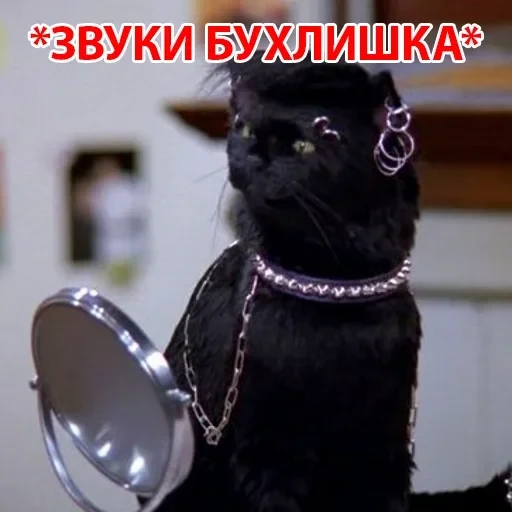 Salem — 19