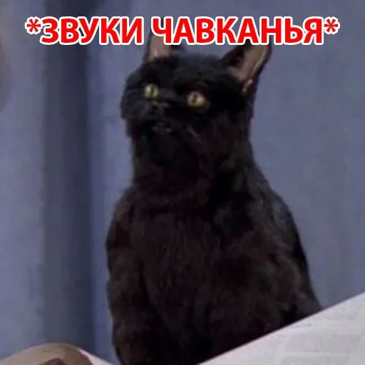 Salem — 21