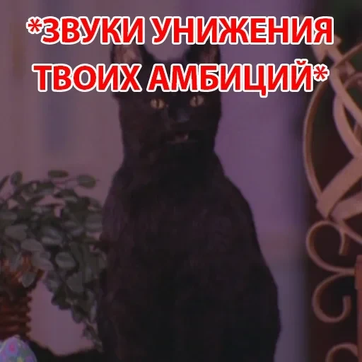 Salem — 22