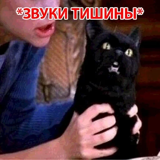 Salem — 23
