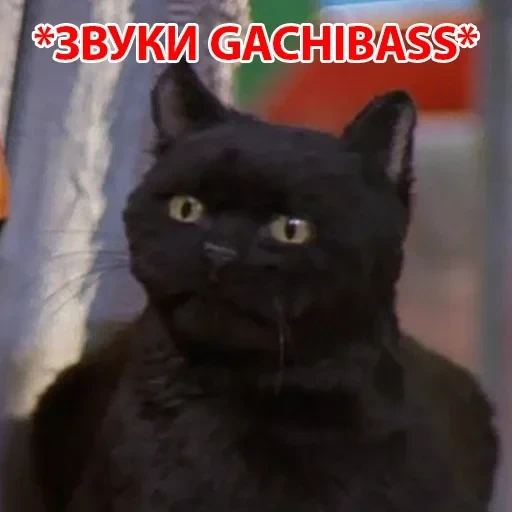Salem — 25