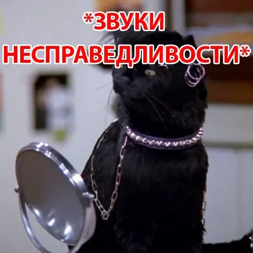 Salem — 26