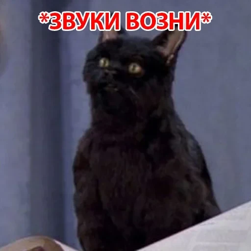 Salem — 28