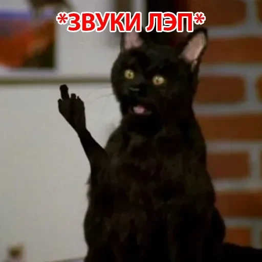 Salem — 29