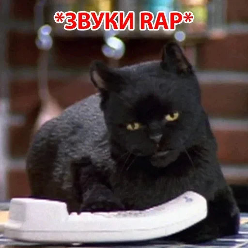 Salem — 4