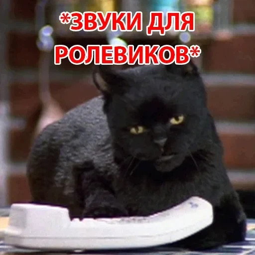 Salem — 31