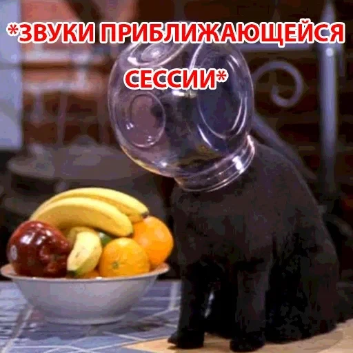 Salem — 32