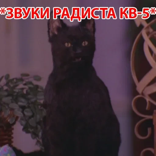 Salem — 33
