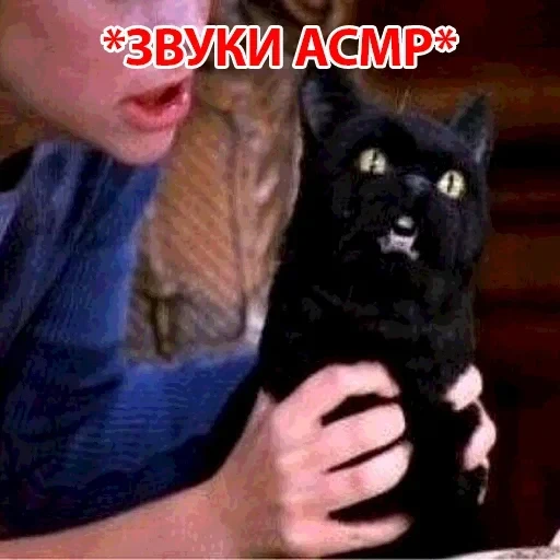 Salem — 34