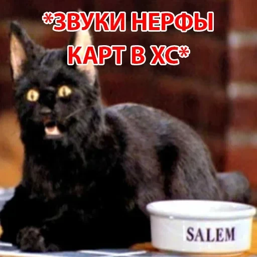 Salem — 35