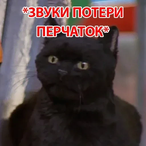 Salem — 36
