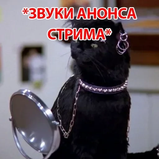 Salem — 37