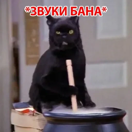 Salem — 38