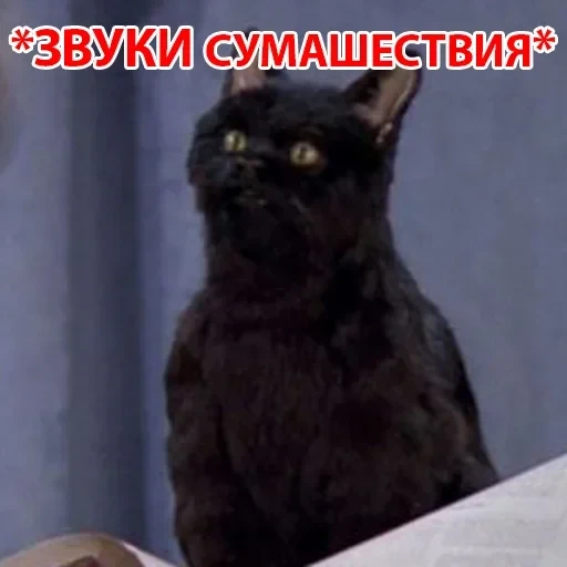 Salem — 39