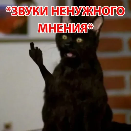 Salem — 40
