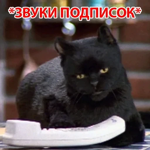 Salem — 42