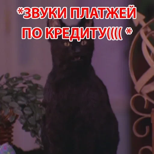 Salem — 44