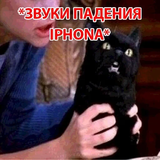 Salem — 45