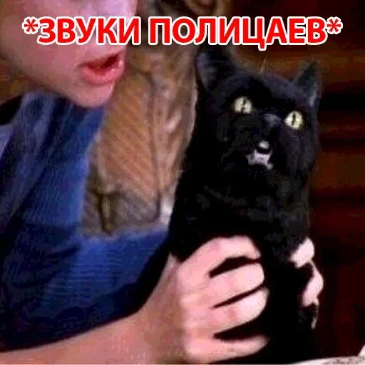 Salem — 7