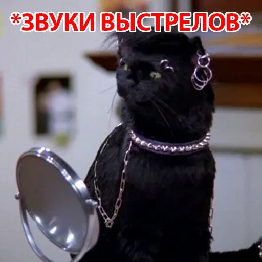 Salem — 10