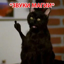 Salem
