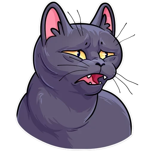 Salem — 14