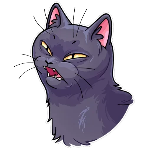 Salem — 20