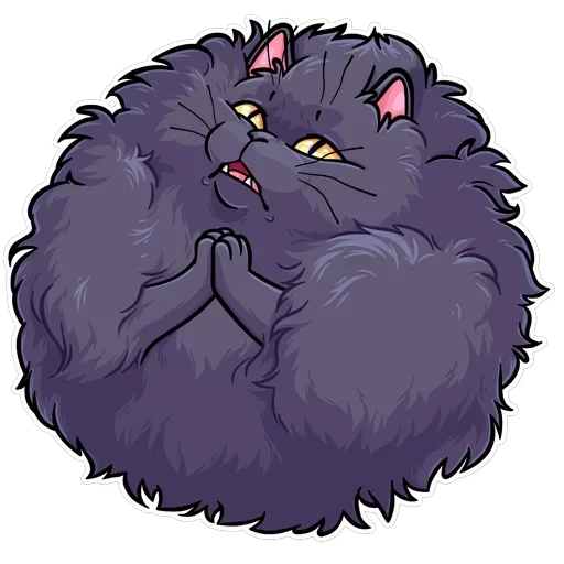 Salem — 22
