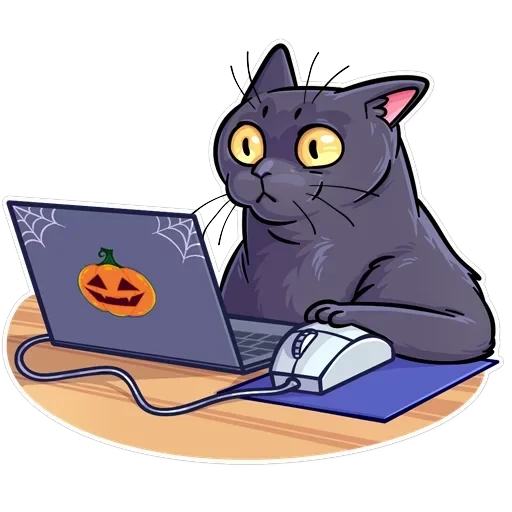 Salem — 23