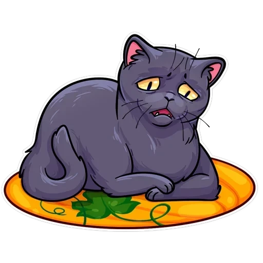Salem — 32