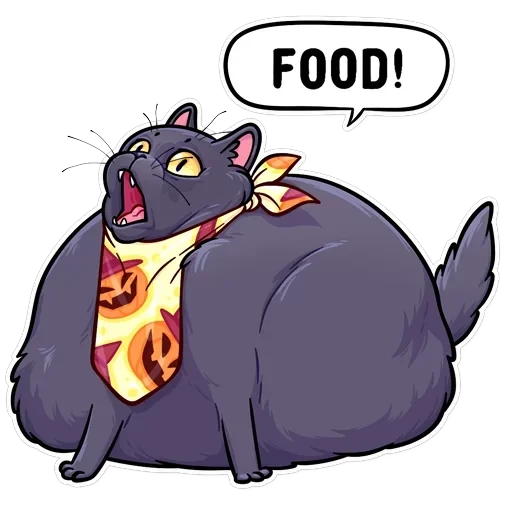 Salem — 8