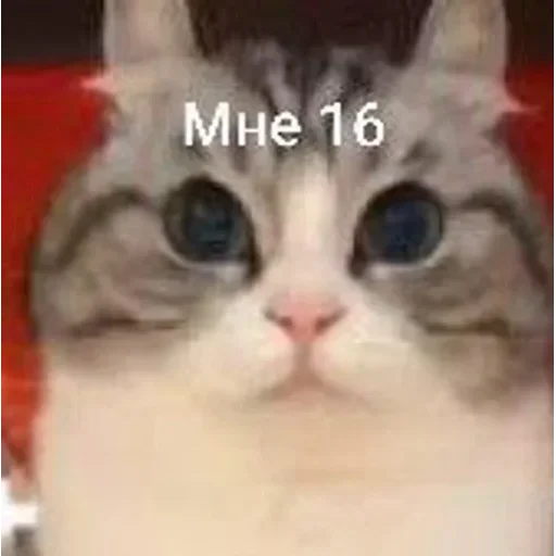 Самий (ни) ожидаемый стикер — 13