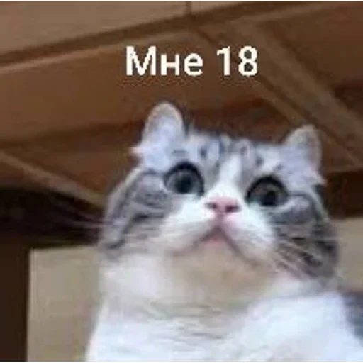 Самий (ни) ожидаемый стикер — 15