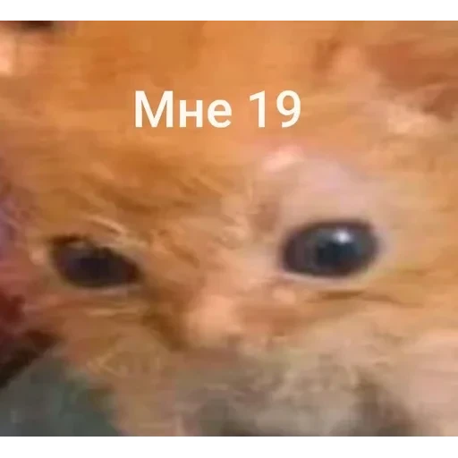Самий (ни) ожидаемый стикер — 16