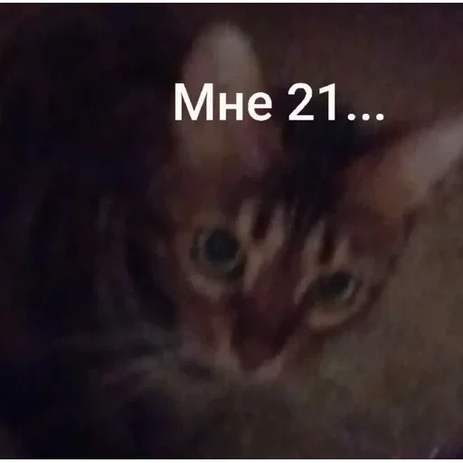 Самий (ни) ожидаемый стикер — 18