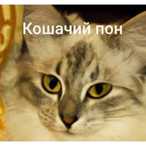 Самий (ни) ожидаемый стикер — 3