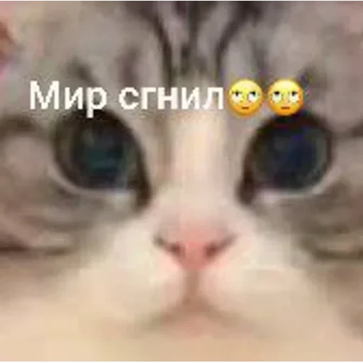 Самий (ни) ожидаемый стикер — 21
