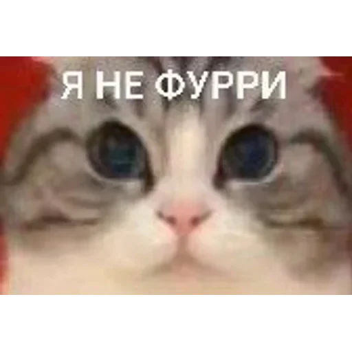 Самий (ни) ожидаемый стикер — 24